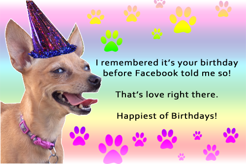 Image Source: Unknown, Caption, Little Dog Tips   Dog Birthday Png Hd - Birthday Dog, Transparent background PNG HD thumbnail