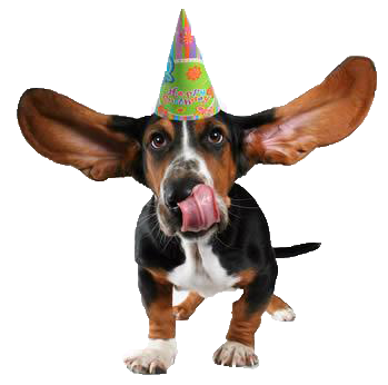 On Thursday , September 22Th We Are Hosting Our Monthly Birthday Party! - Birthday Dog, Transparent background PNG HD thumbnail