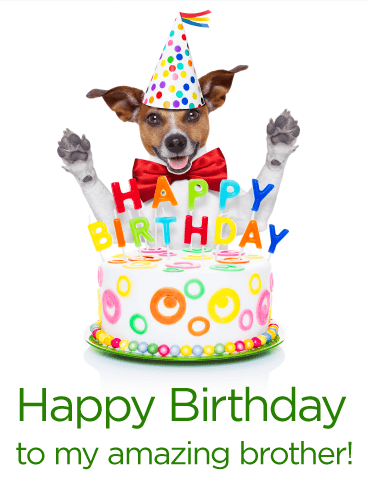 Party Dog U0026 Birthday Cake Card For Brother - Birthday Dog, Transparent background PNG HD thumbnail