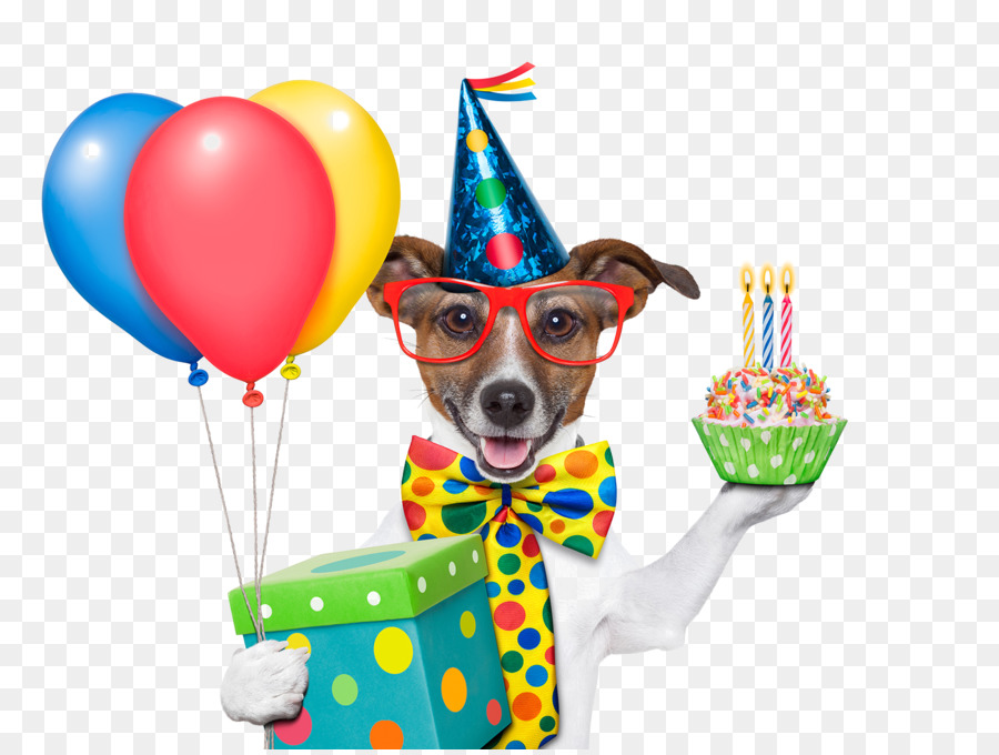 Wedding Invitation Birthday Cake Greeting Card Wish   Birthday Dog - Birthday Dog, Transparent background PNG HD thumbnail