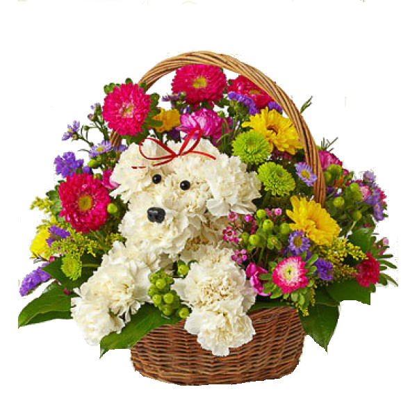 Birthday Flowers Bouquet Png Transparent Image - Birthday Flowers, Transparent background PNG HD thumbnail