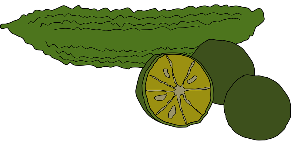 green bitter gourd