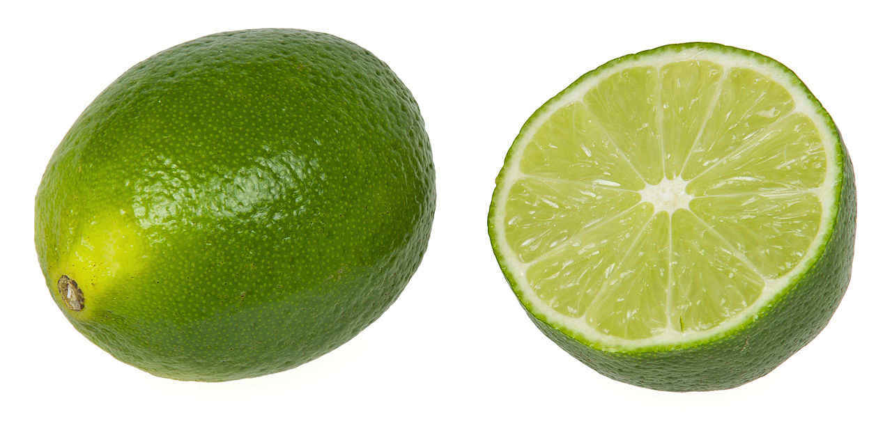 Difference Between Bitter And Sour - Bitter Food, Transparent background PNG HD thumbnail