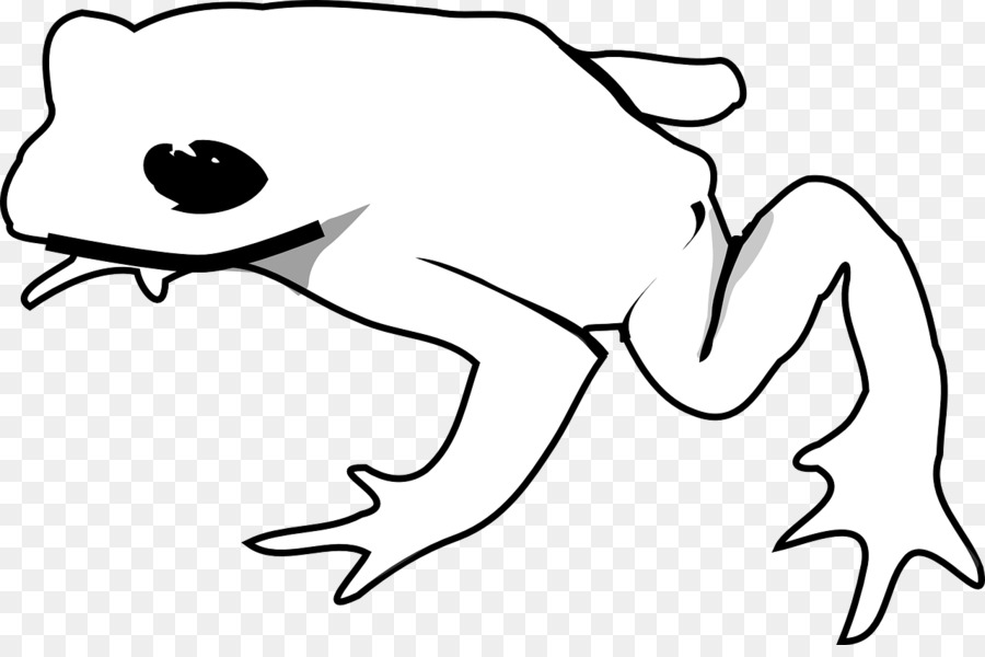 American Green Tree Frog Drawing Clip Art   Frog - Black And White Frog, Transparent background PNG HD thumbnail