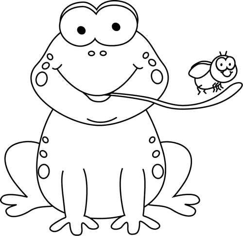 Black And White Frog Eating A Fly - Black And White Frog, Transparent background PNG HD thumbnail