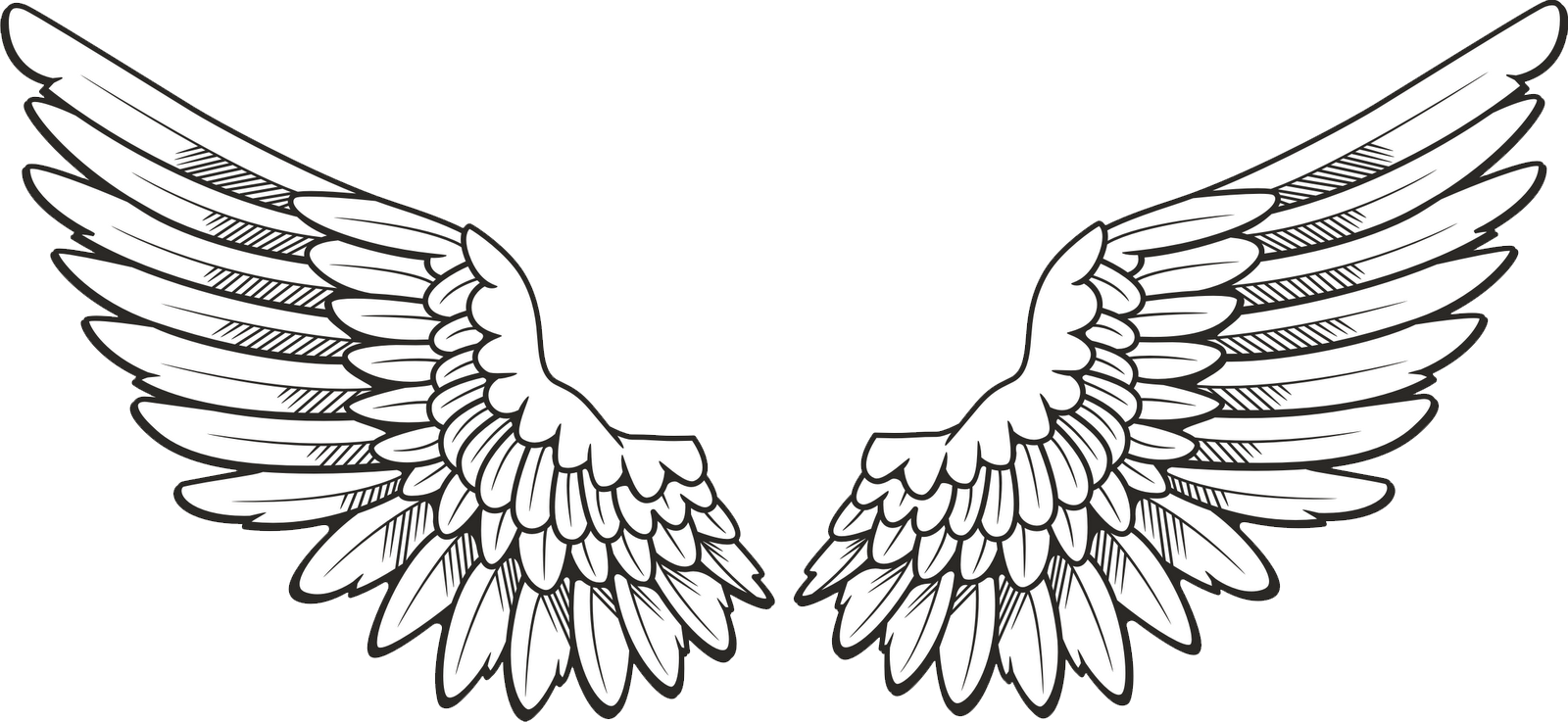 Angel Halo Wings Png Free Download - Black And White Halo, Transparent background PNG HD thumbnail