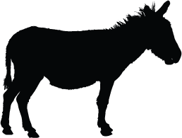 Mule Silhouette - Black And White Mule, Transparent background PNG HD thumbnail