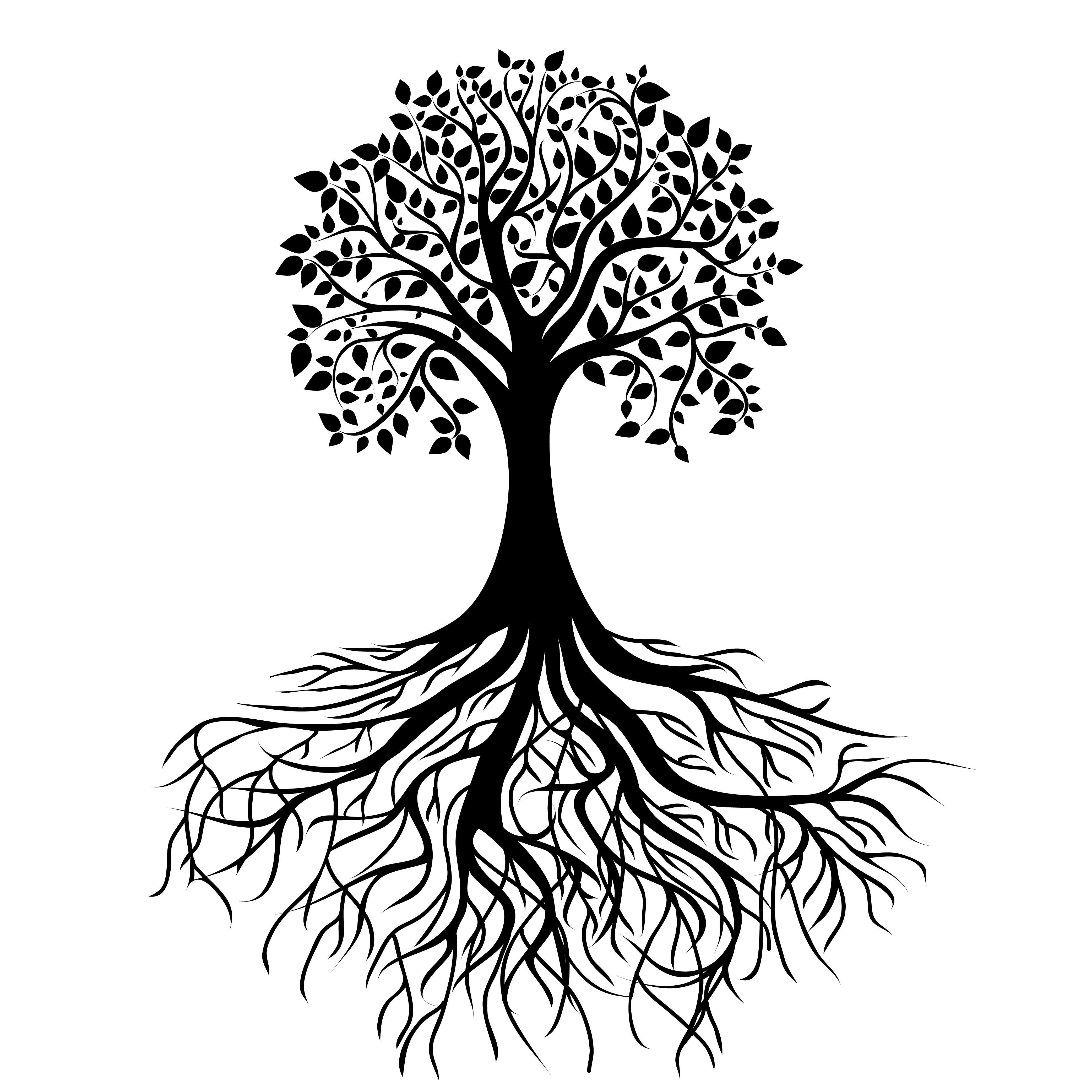 4167X4167 Tree Roots Png The Writing Tree Old House Pinterest Tree - Black And White Tree Of Life, Transparent background PNG HD thumbnail