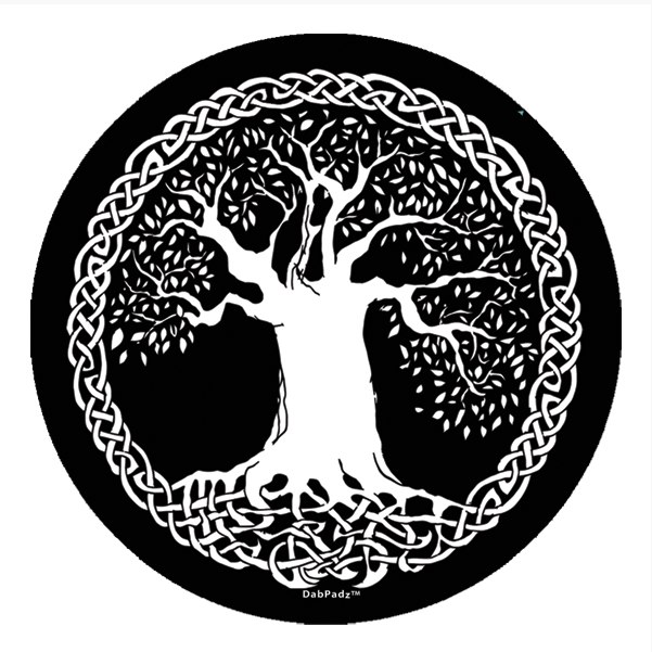 Next - Black And White Tree Of Life, Transparent background PNG HD thumbnail