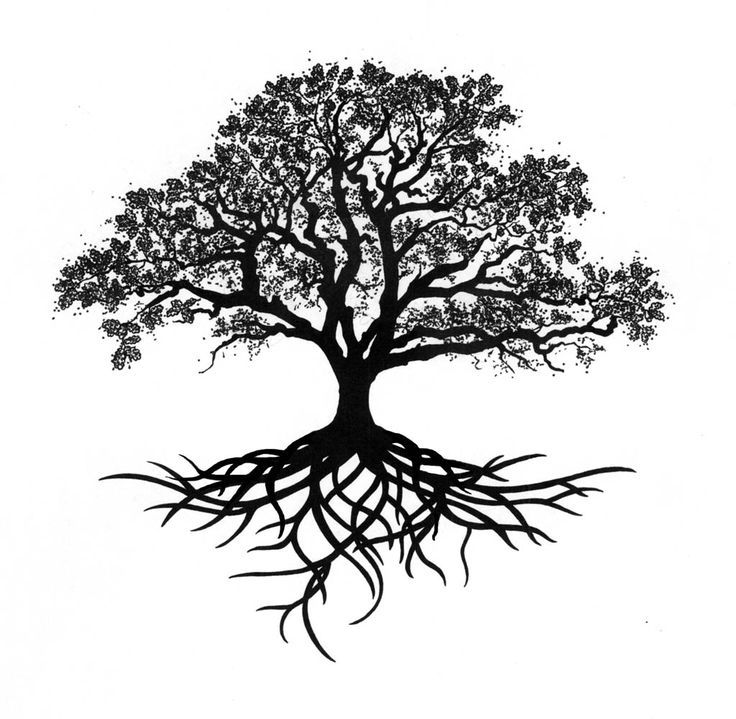Tree Roots Tattoo   Google Search - Black And White Tree Of Life, Transparent background PNG HD thumbnail