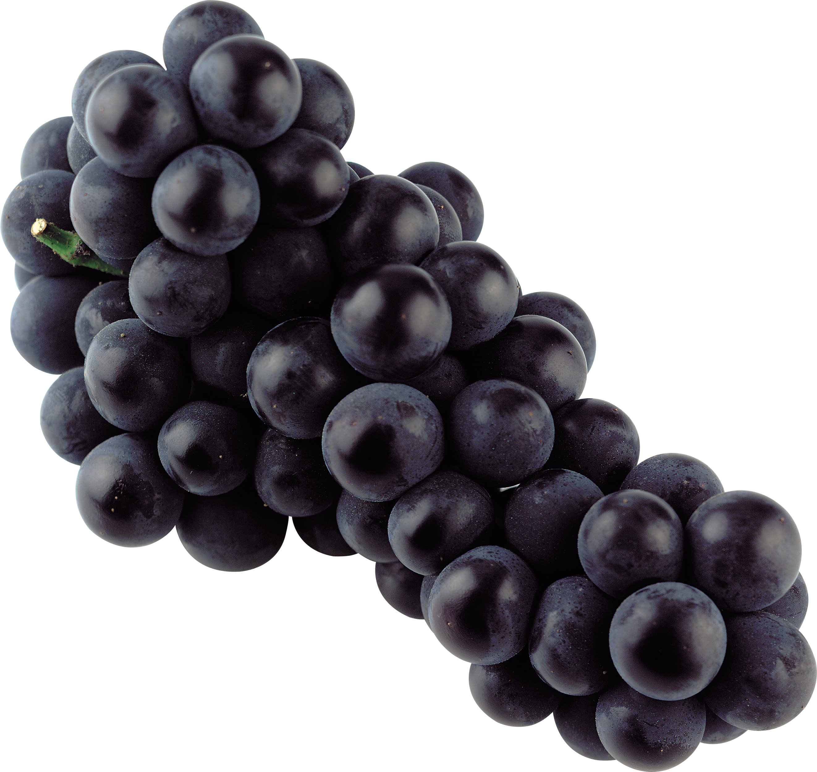 Black Grape Png Image - Grape, Transparent background PNG HD thumbnail