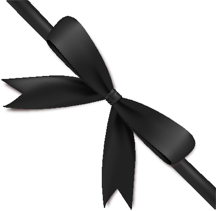 bow tie black ribbon elegant 