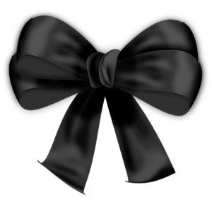 hand painted black ribbon bow