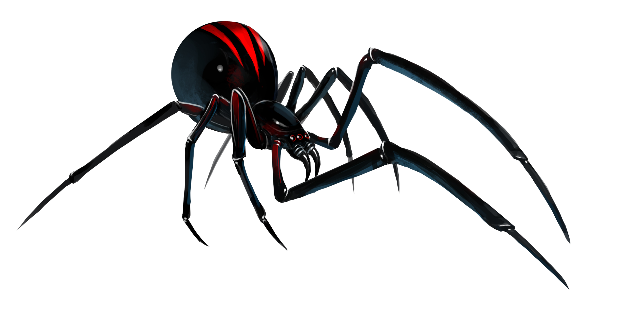 Spider PNG - Black Widow Spider