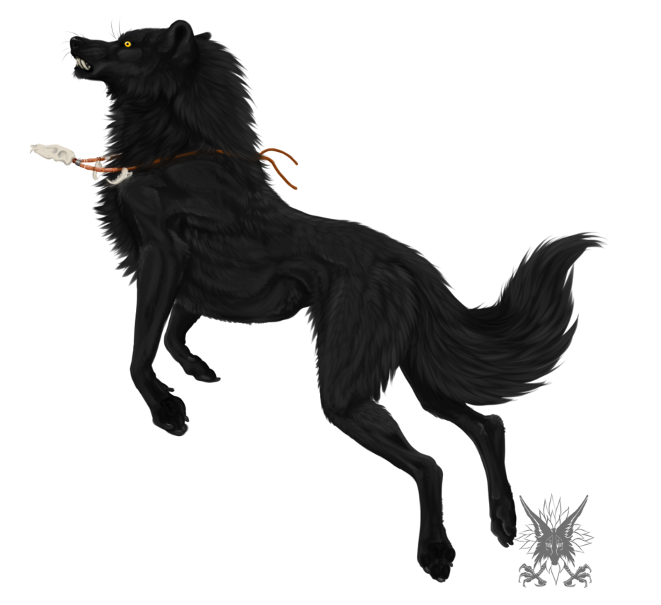 black wolf head by PipPlutt P
