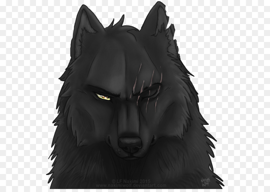 Black Wolf Coyote Pack Drawing   Black Wolf - Black Wolf, Transparent background PNG HD thumbnail