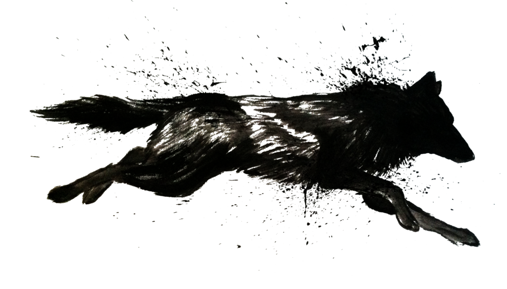 Black Wolf Running.png - Black Wolf, Transparent background PNG HD thumbnail
