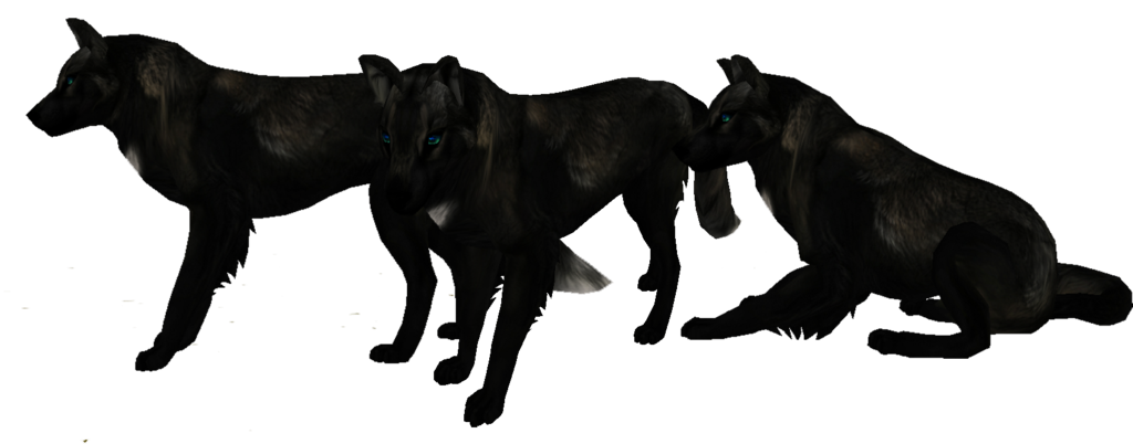 Realistic Black Wolf Preset Auction By Mossasaurus Hdpng.com  - Black Wolf, Transparent background PNG HD thumbnail