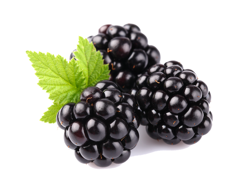 Blackberry Fruit Png Image PN