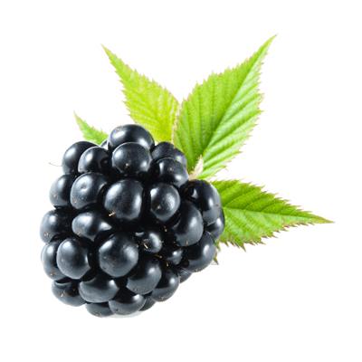 Blackberry Fruit Png Pic PNG 