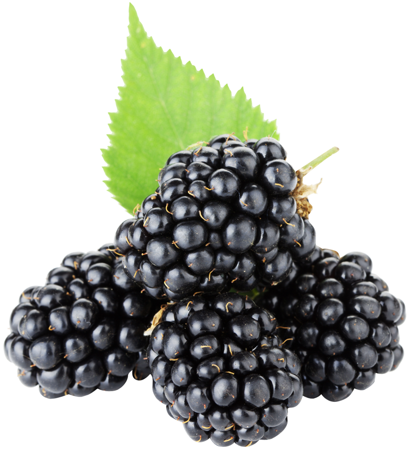 Blackberry Fruit Free Png Ima