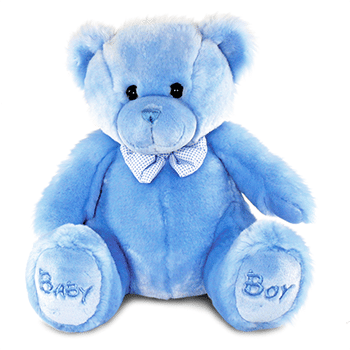 Baby Boy Teddy Bear   Precious Petals Florists - Blue Bear, Transparent background PNG HD thumbnail