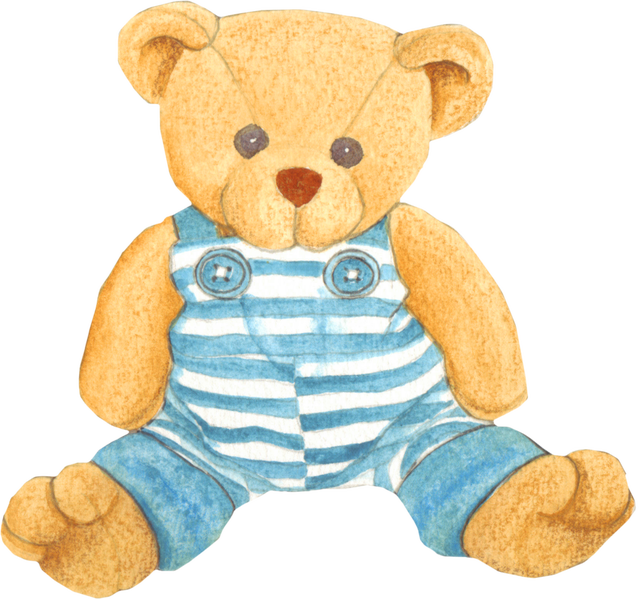Baby Boy Teddy Bear - Preciou