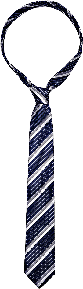 Blue Tie PNG-PlusPNG.com-1000