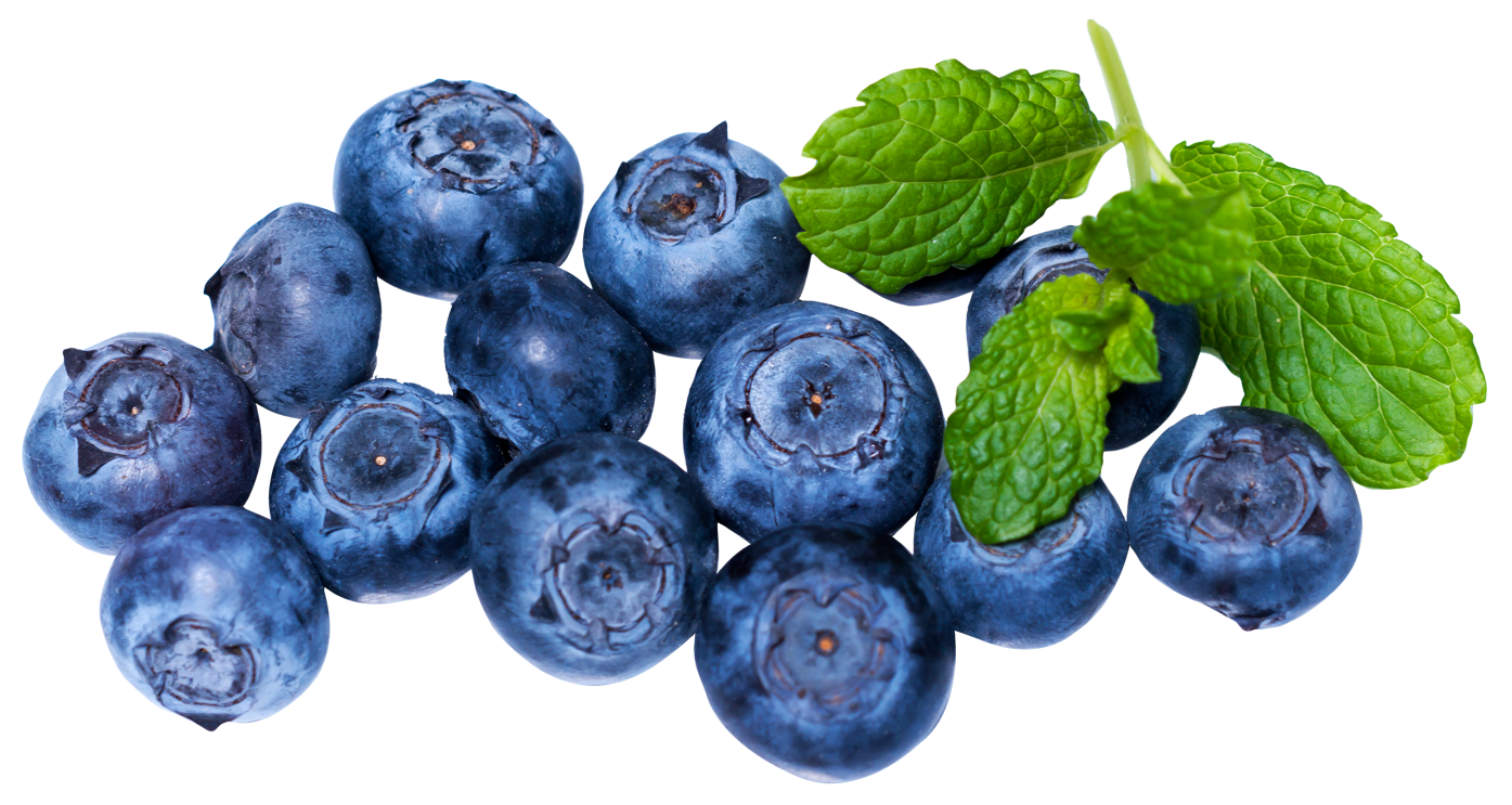 Blueberry Png Hdpng.com 1395 - Blueberry, Transparent background PNG HD thumbnail