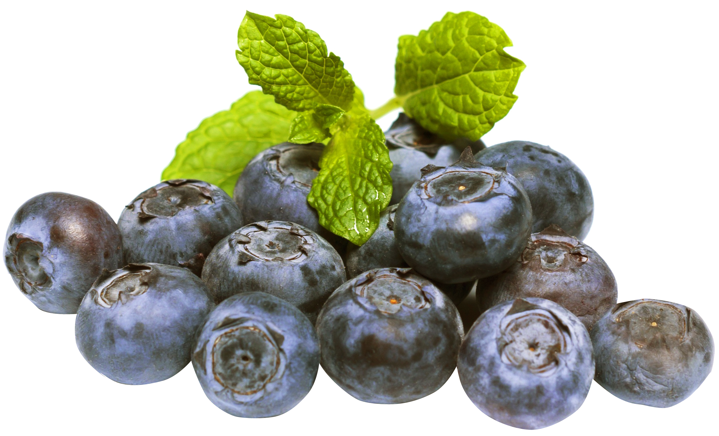 Blueberry Png Hdpng.com 2304 - Blueberry, Transparent background PNG HD thumbnail