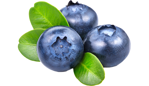 Blueberries Png - Blueberry, Transparent background PNG HD thumbnail