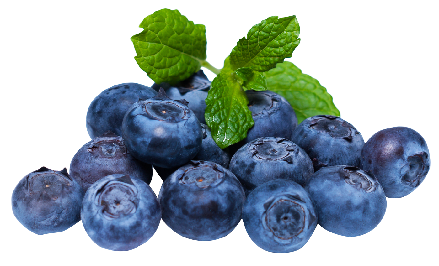 Blueberries With Leaves Png Image - Blueberry, Transparent background PNG HD thumbnail