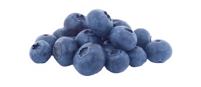 Blueberry Png Pic - Blueberry, Transparent background PNG HD thumbnail