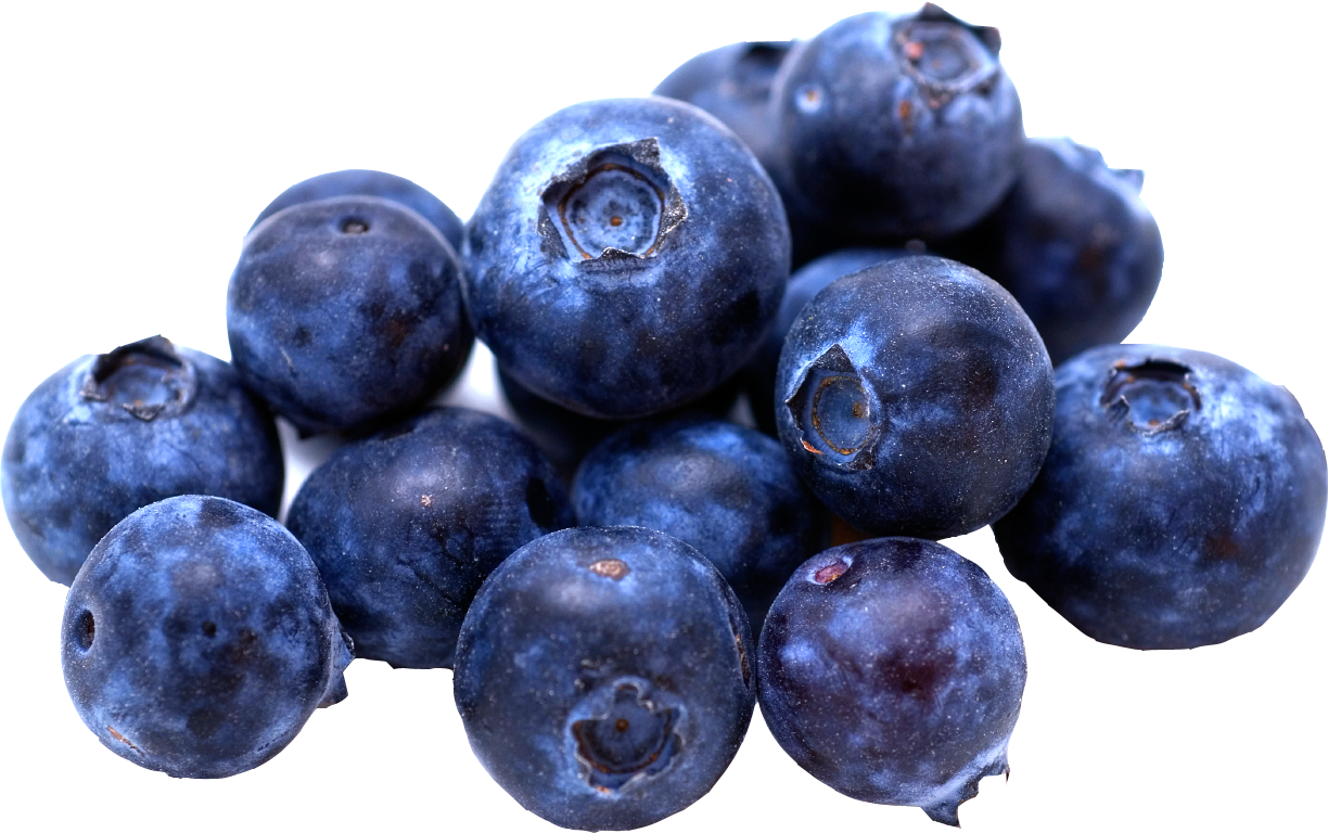 Filename: Blueberries.png - Blueberry, Transparent background PNG HD thumbnail
