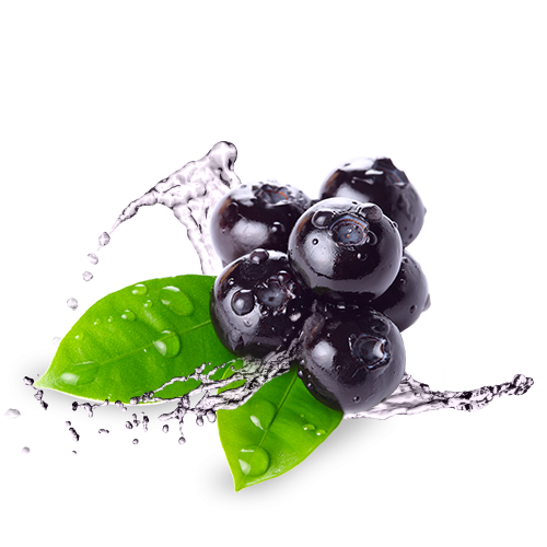 Blueberry Png Hd Hdpng.com 500 - Blueberry, Transparent background PNG HD thumbnail