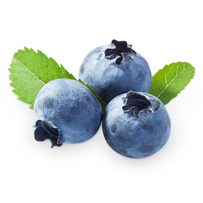 Blueberries Png - Blueberry, Transparent background PNG HD thumbnail