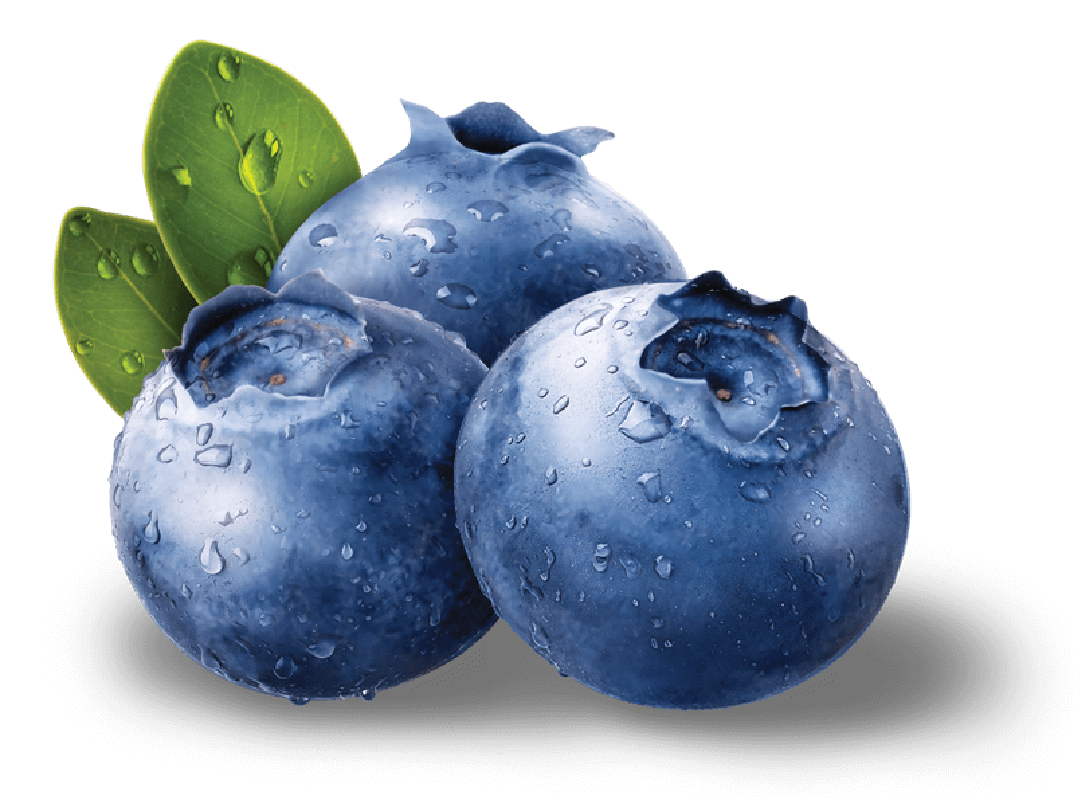Blueberries Png   Blueberry Png - Blueberry, Transparent background PNG HD thumbnail
