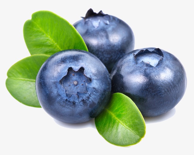 Blueberry, Blueberry, Fruit, Food Png Image - Blueberry, Transparent background PNG HD thumbnail