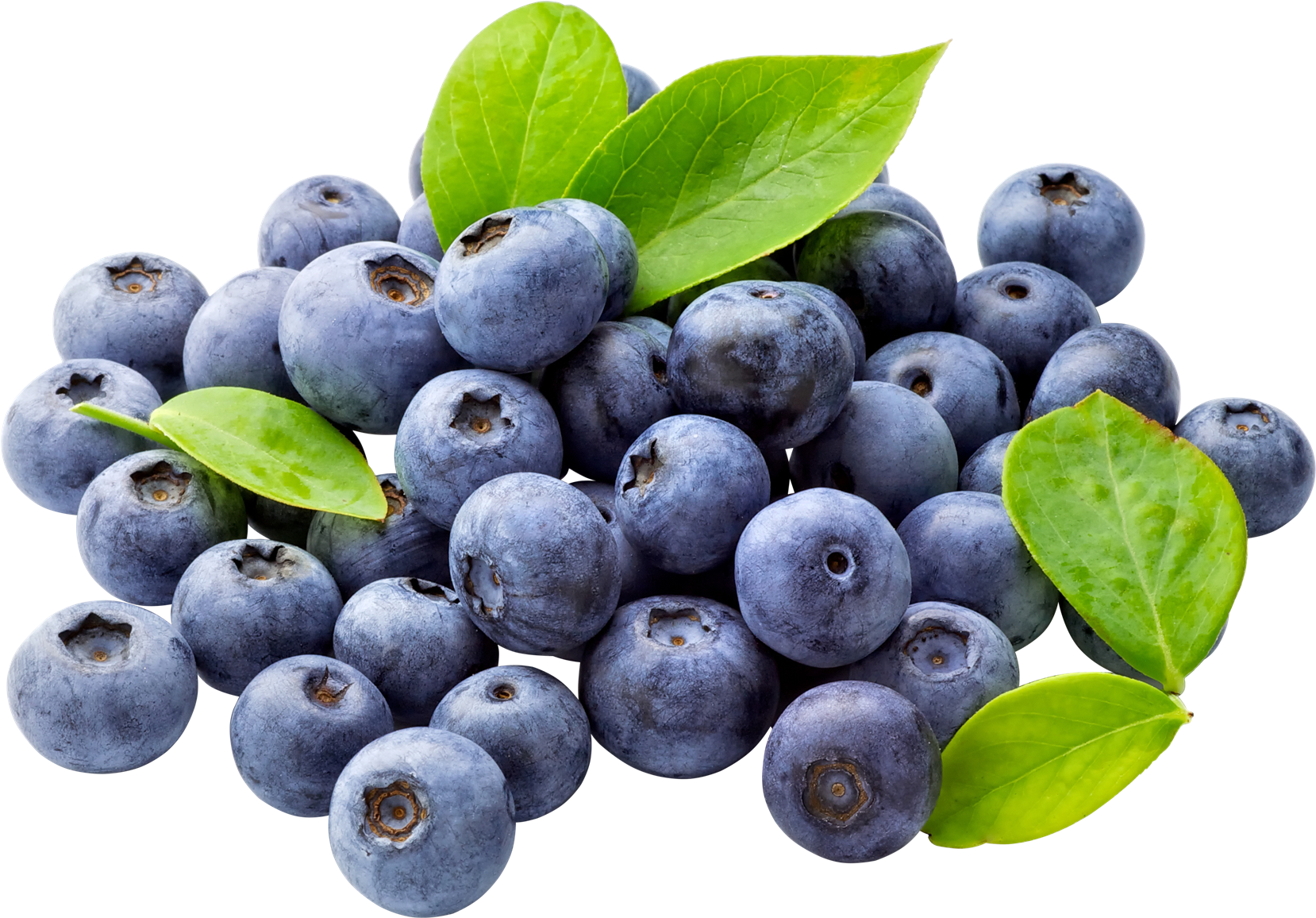 Blueberry Png Free Download - Blueberry, Transparent background PNG HD thumbnail