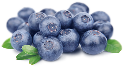 Blueberry Png Hd - Blueberry, Transparent background PNG HD thumbnail