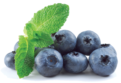 Blueberry Transparent Png - Blueberry, Transparent background PNG HD thumbnail