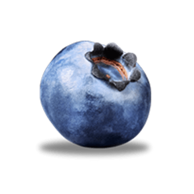 Blueberry PNG Clipart