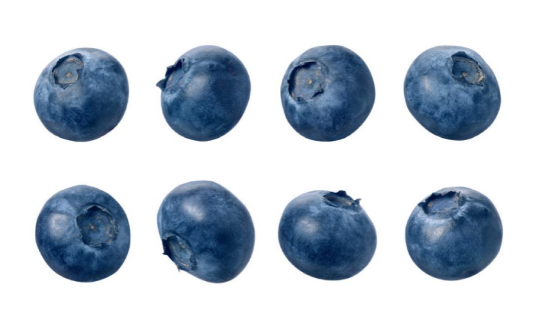 What Canadian Doesnu0027T Love Blueberries (The Wild, Flavourful Ones, Hdpng.com  - Blueberry, Transparent background PNG HD thumbnail