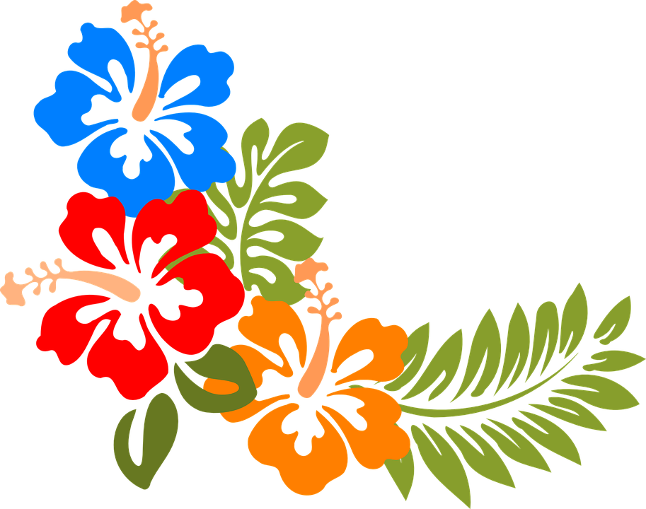 Hibiskus Hawaii Blumen Tropisch Bunte Frühling - Blumen Bunt, Transparent background PNG HD thumbnail