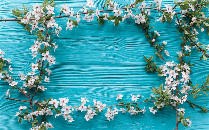Herunterladen Hintergrundbild Cherry Blossom, Zweige, Frühling, Blau, Holz Hintergrund, Blumen - Blumenranke Blau, Transparent background PNG HD thumbnail