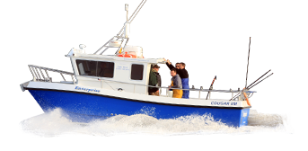 Eccougarcat - Boat Trip, Transparent background PNG HD thumbnail