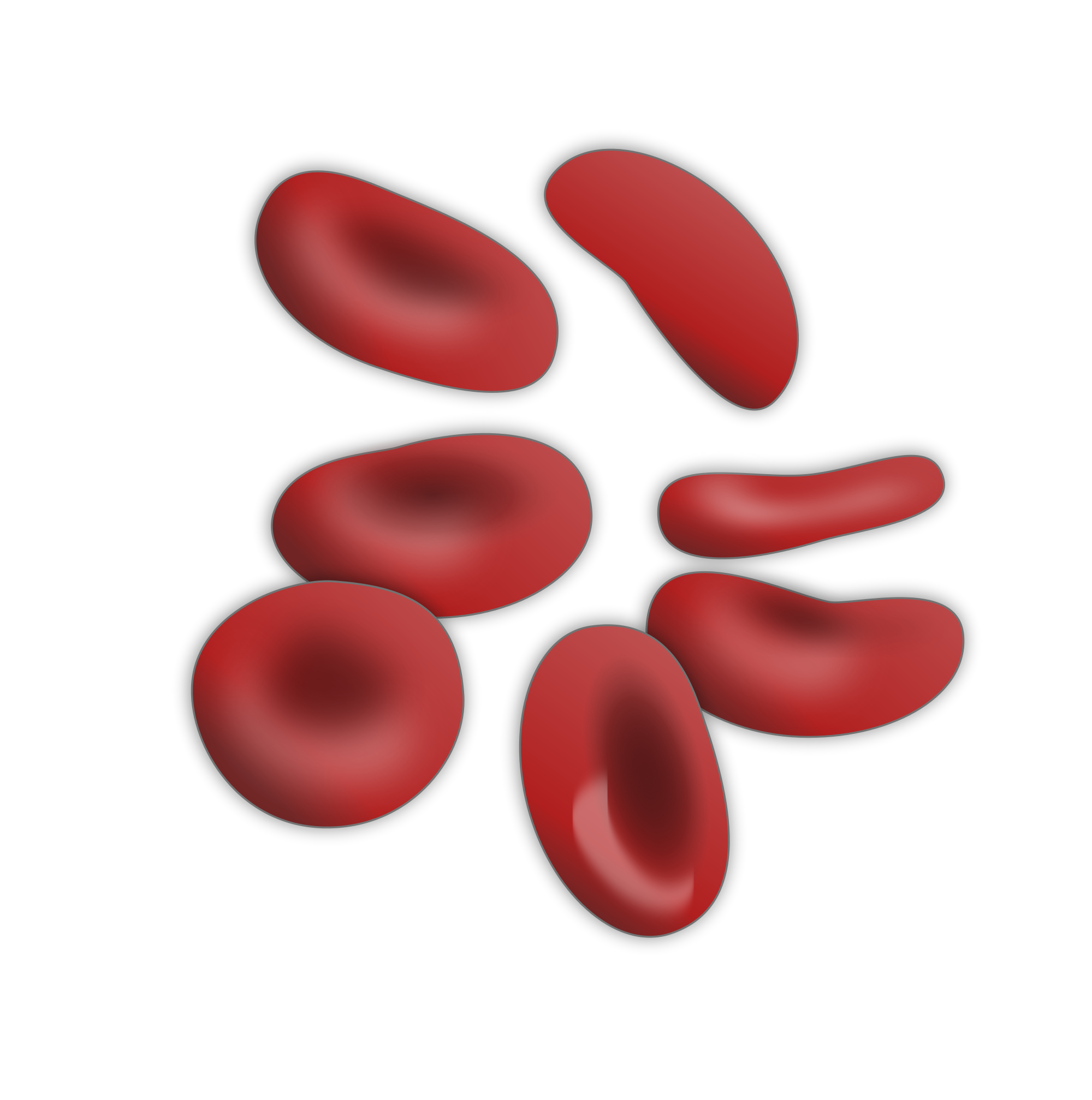 Increase Hemoglobin Level In Easy Ways - Body Cell, Transparent background PNG HD thumbnail