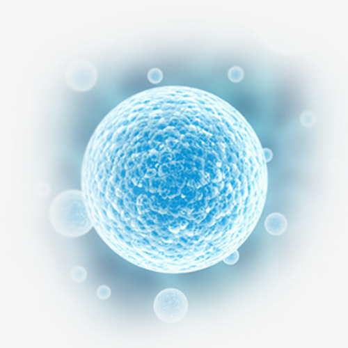 Quiet Blue Translucent Spheres Cell Fine Texture, Translucent, Blue Texture, Cell Body Png - Body Cell, Transparent background PNG HD thumbnail
