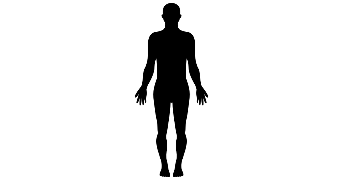 File:Outline-body.png