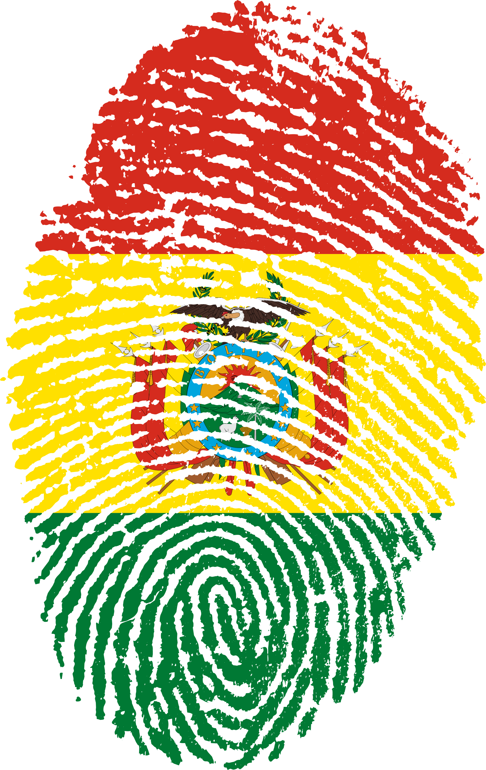 View Original: Bolivia Flag Fingerprint Country 654236.png (1573X2488) - Bolivia, Transparent background PNG HD thumbnail